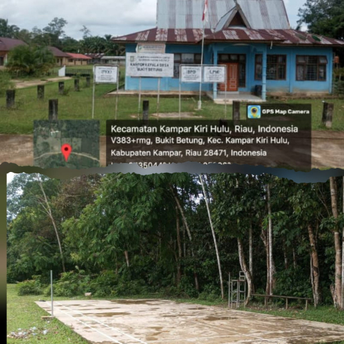 DANA DESA BUKIT BETUNG DIDUGA DIKORUPSI KADES ,WARGA MENGELUH DAN RESAH