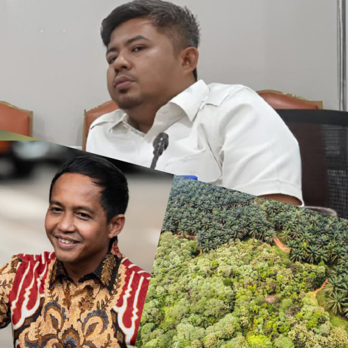 Jubir Kopari Minta Ormas PETIR Tak Asal Tuduh, Pemutihan Sawit Sesuai Aturan