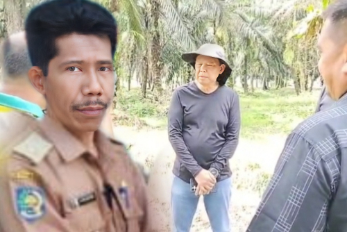 Terkini