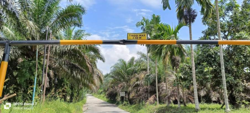 Bupati Kuansing Murka! Portal Pembatas di Jalan Teratak Air Hitam Menuju Setajo Raya Diterobos Truk Sawit ODOL Dua Kali dalam Sepekan