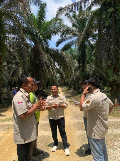 Dalil Runtuh di Meja Hijau, Kisah Kemenangan Warga Muara Langsat Pertahankan 62 Hektare Tanah Kebun Sawitnya