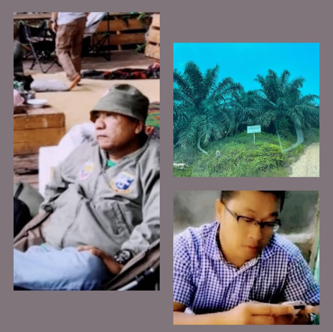 Ribuan Hektar Hutan di Kampar Dibabat untuk Sawit Ilegal, Aktivis dan Tokoh Masyarakat Desak Aparat Bertindak Tegas