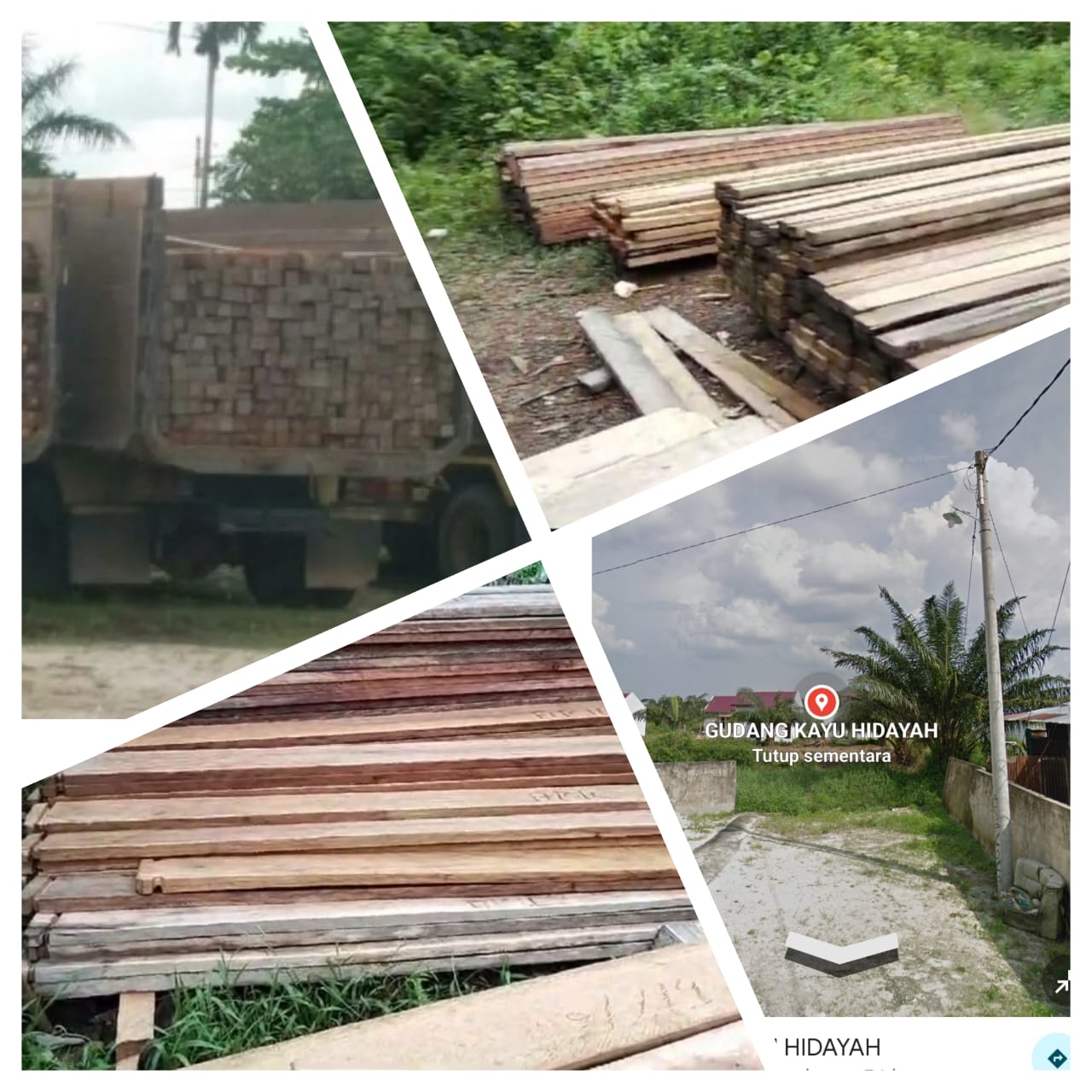 Setelah Viral, Kayu Hasil Illegal Logging di Balung Langsung Diangkut ke Kubang