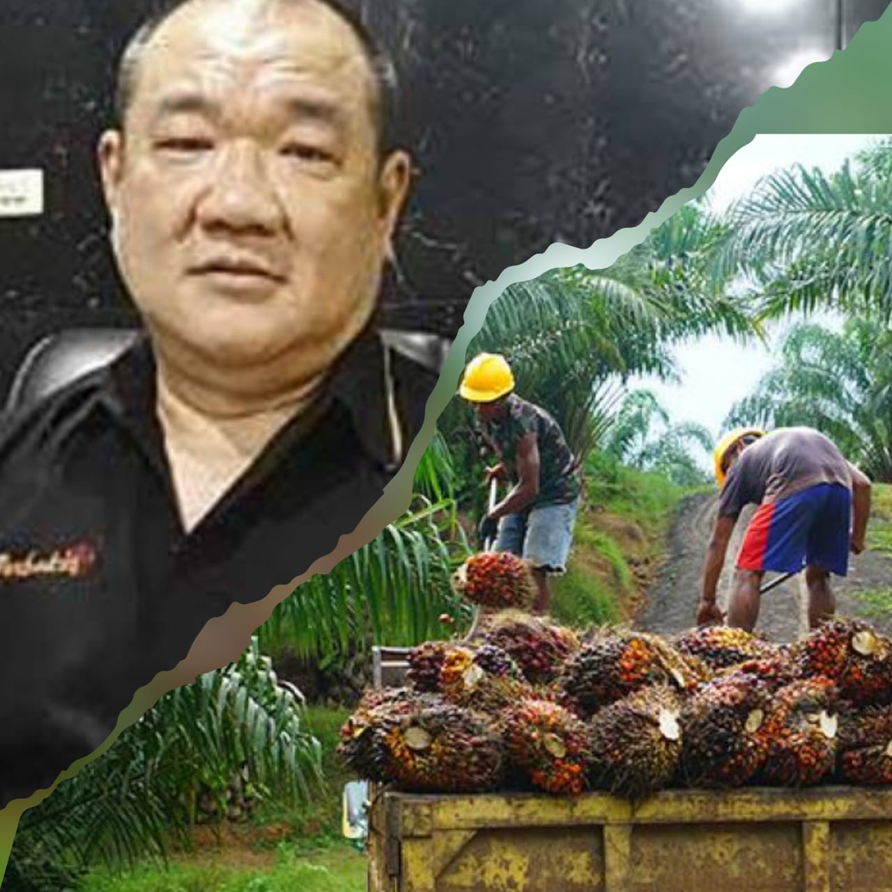 Skandal Perkebunan Sunyi: Tiga Perusahaan Sawit Dedi Handoko Diduga Abaikan Kewajiban Tenaga Kerja di Inhu