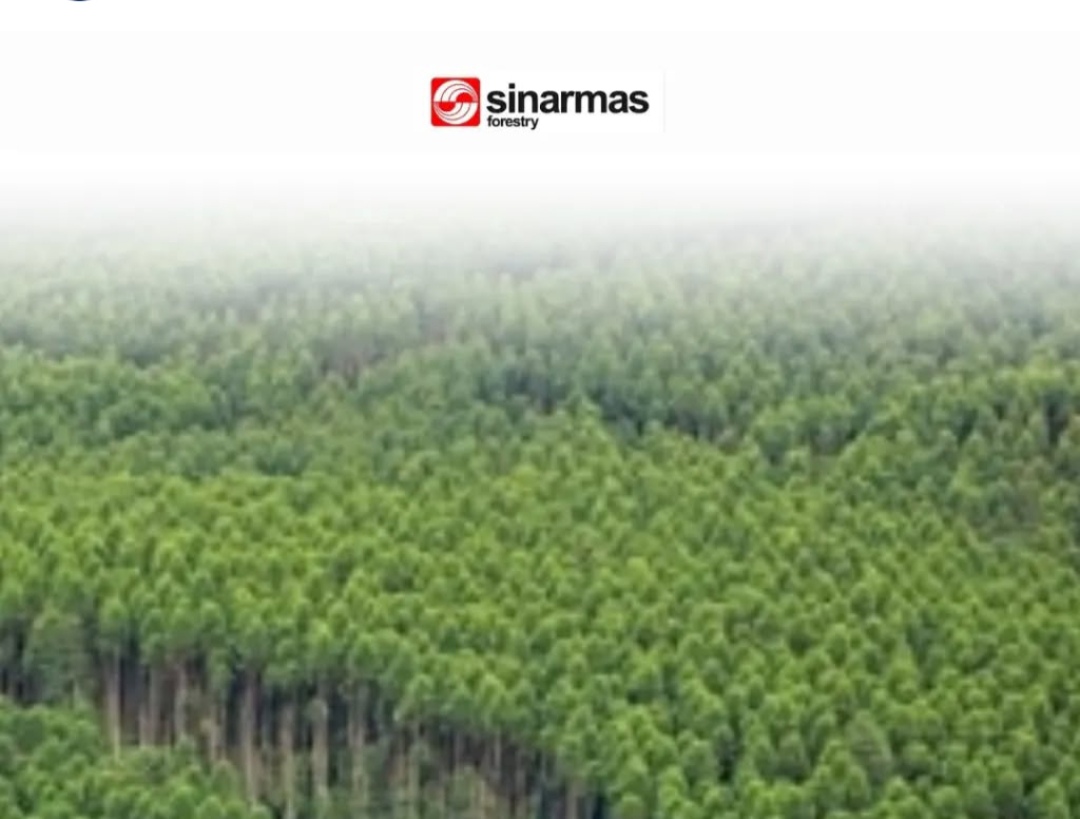 Membungkam Alam, Mengaburkan Hukum: Jejak Kelam PT Sinarmas di Riau