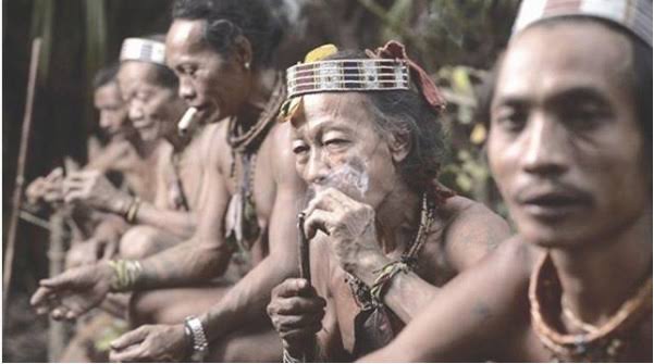 Kriminalisasi Ulayat: Empat Warga Adat Sakai Ditahan Saat Garap Tanah Leluhur