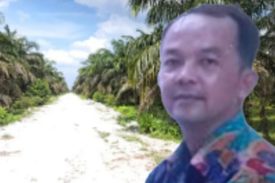 Abeng Cs Kuasai Ribuan Hektare Hutan Produksi Terbatas: Sawit Ilegal Menggurita di Bonai, Riau!