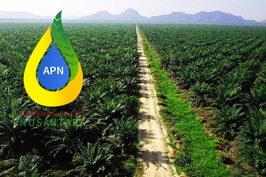 Buka Kerja Sama Pengelolaan Sawit, PT Agrinas Palma Nusantara Tetapkan 48 Syarat Ketat untuk Calon Mitra